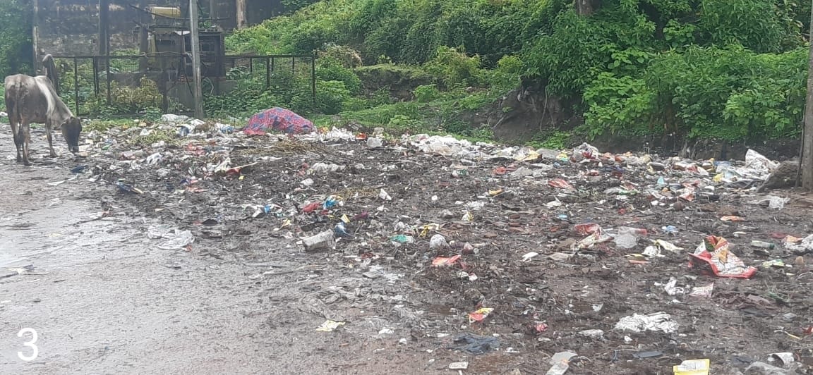 Diesees for virus to garbage dangerous