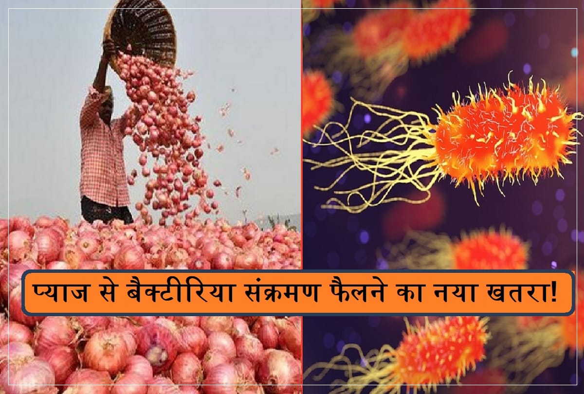 Salmonella outbreak due to red onions in usa and canada know the Causes Symptoms and treatment of this new disease Salmonella Bacteria infection