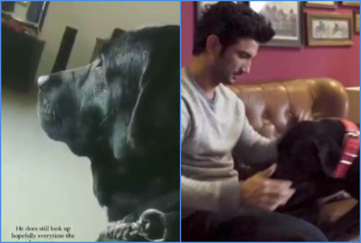 Fudge looking for Sushant Singh Rajput near his bike