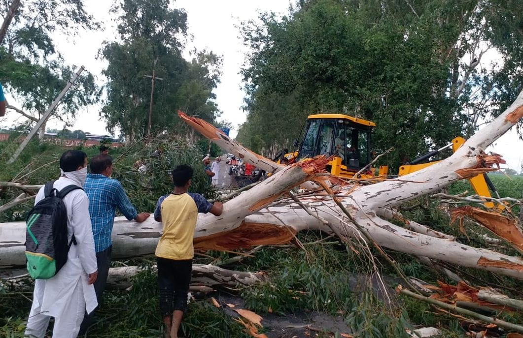 the trees fall down due to heavy rain and storm also ht line break long heavy traffic zam