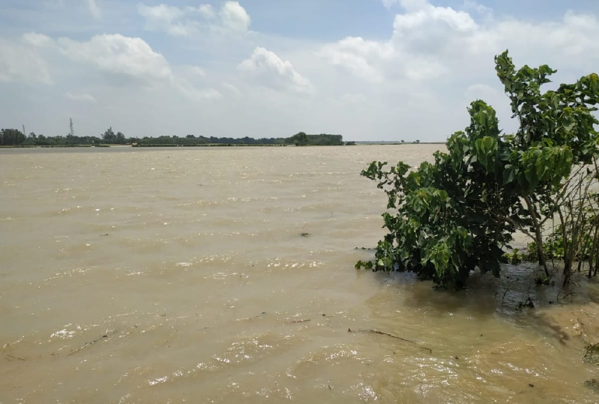 Due to rain in Nepal rivers of Gorakhpur in spate again