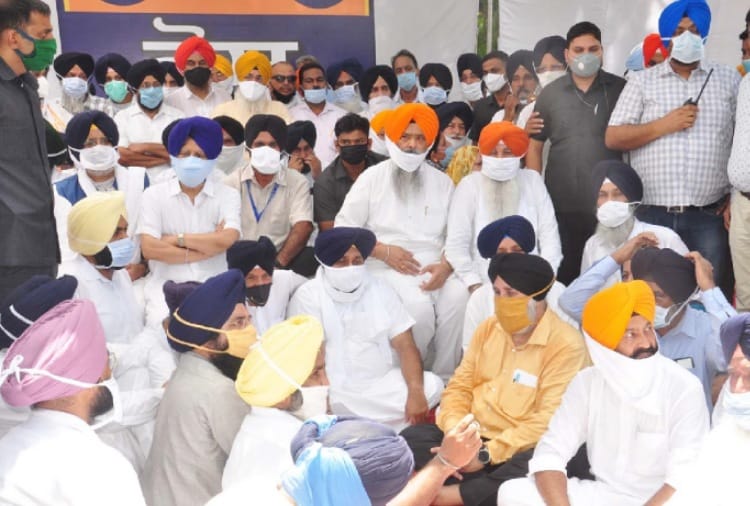 Punjab News in Hindi: Akalis picket led by Sukhbir Badal in patiala