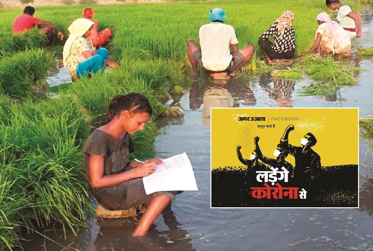 Paddy planting in fields with online education and supported father in trouble