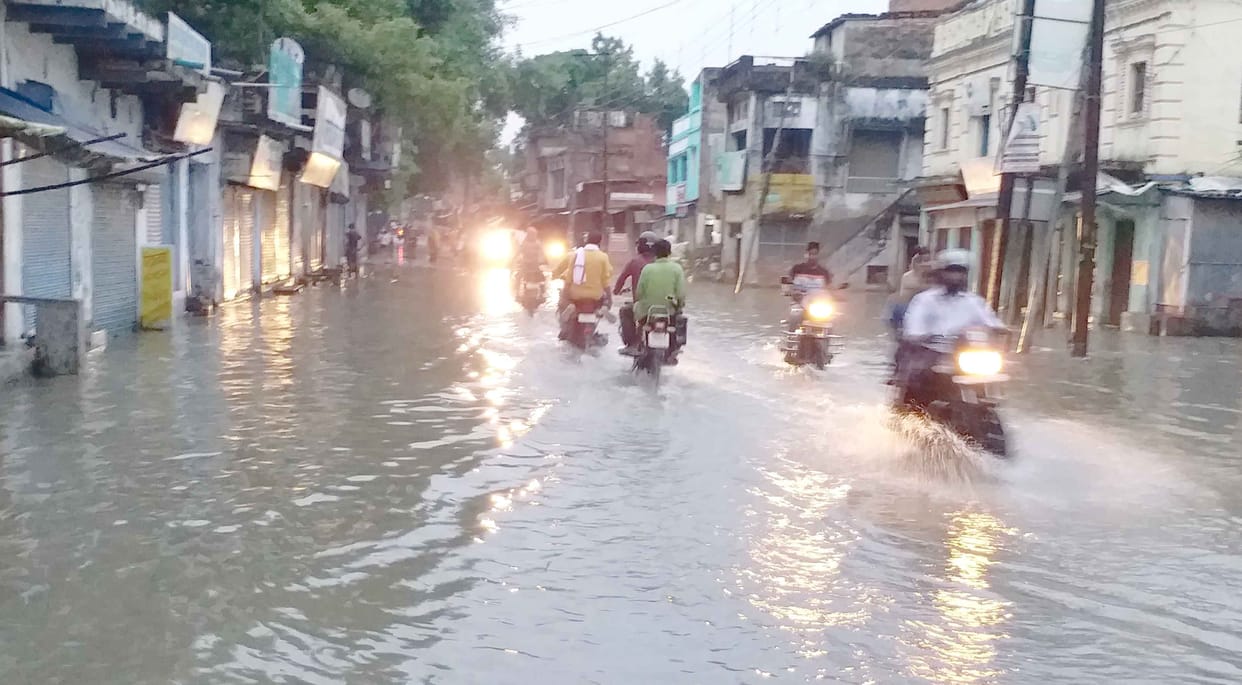 Trees fell due to rain, problems due to water logging
