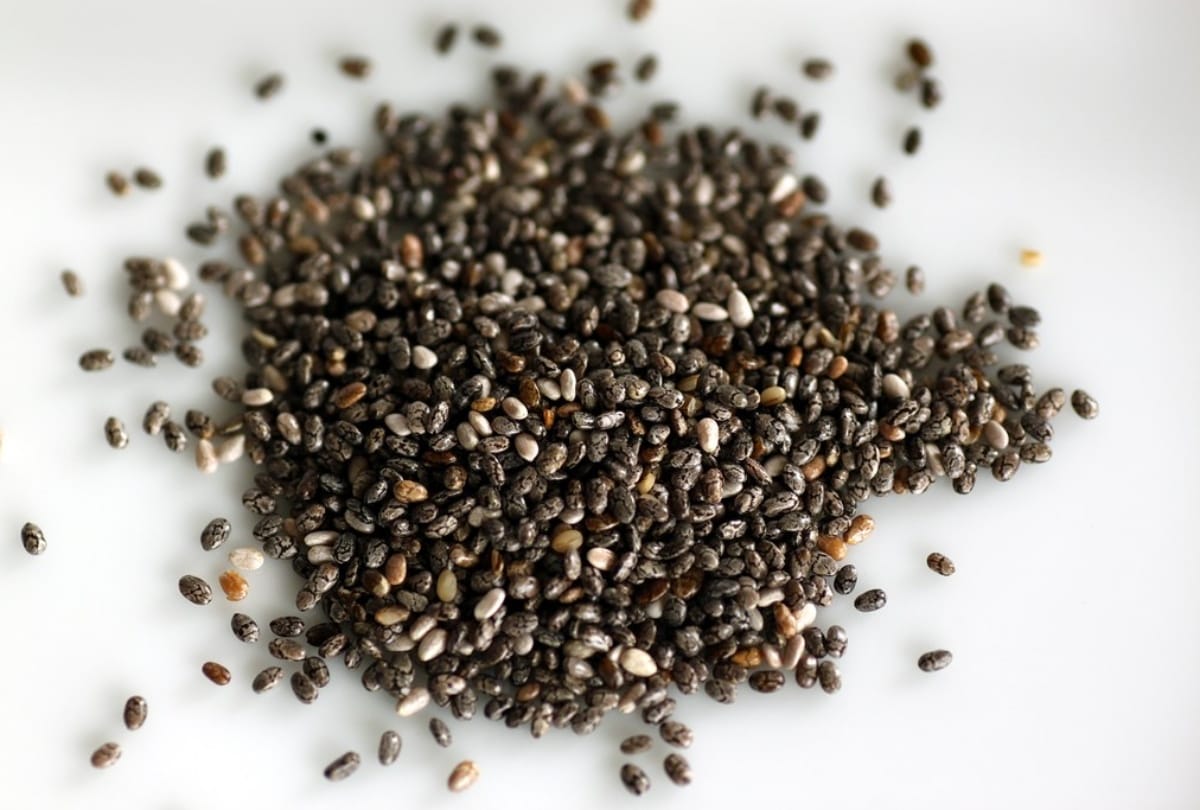 omega 3 rich foods for vegetarians, how this nutrition is important