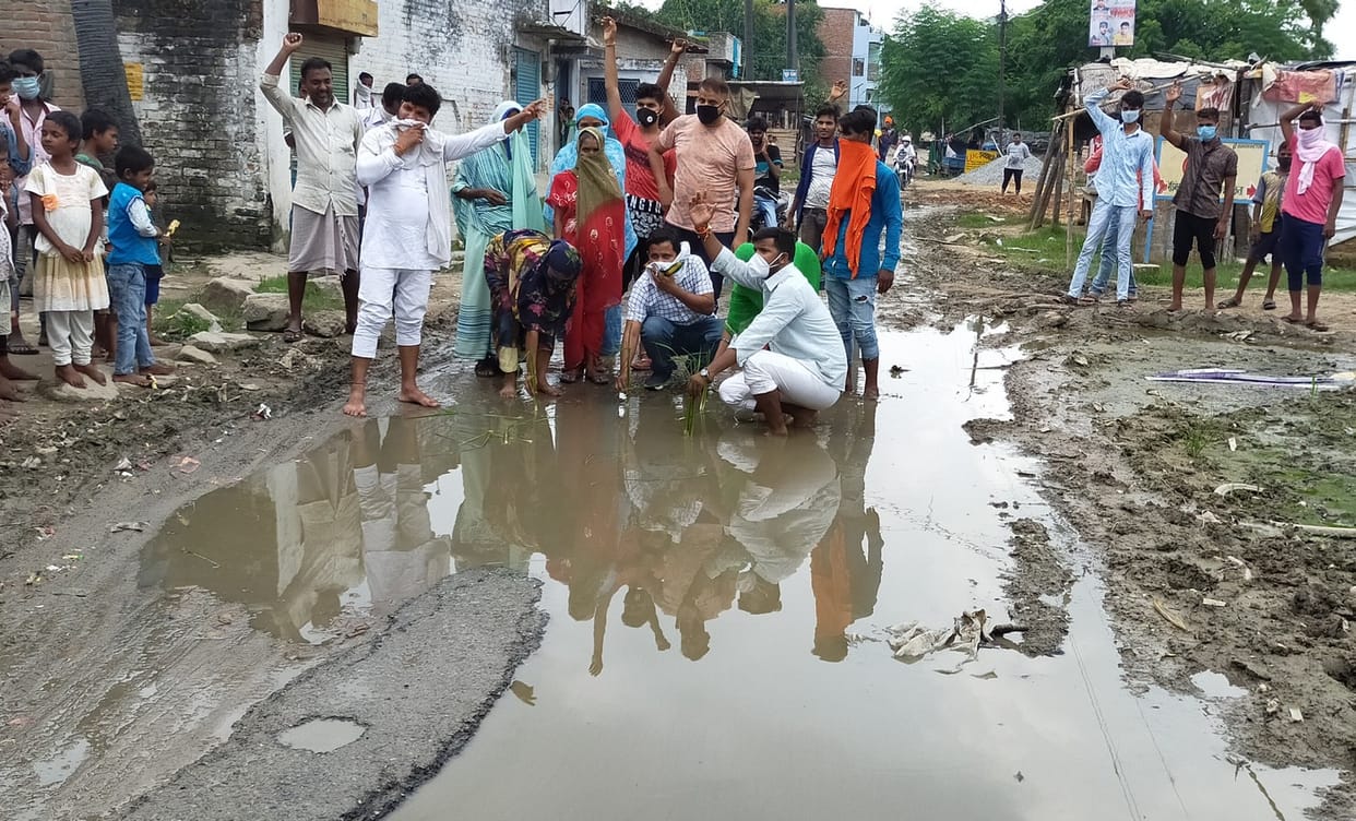 Protest lodged by planting paddy on a dilapidated road
