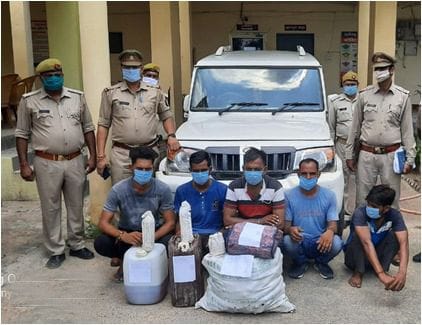 fake wine maker arrest
