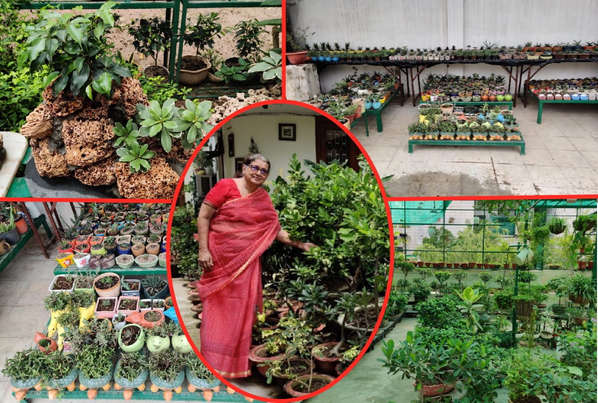 famous doctor Dr. Madhu Gulati maked plants on stone in gorakhpur