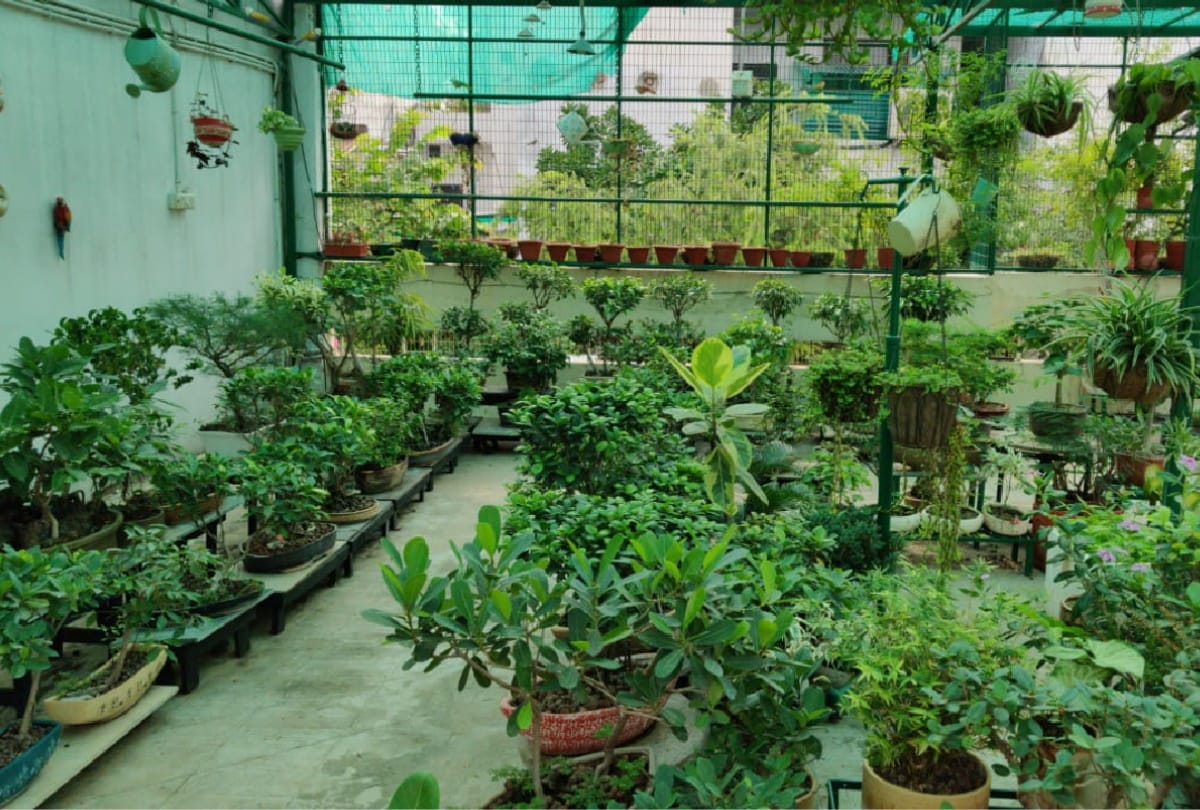 famous doctor Dr. Madhu Gulati maked plants on stone in gorakhpur