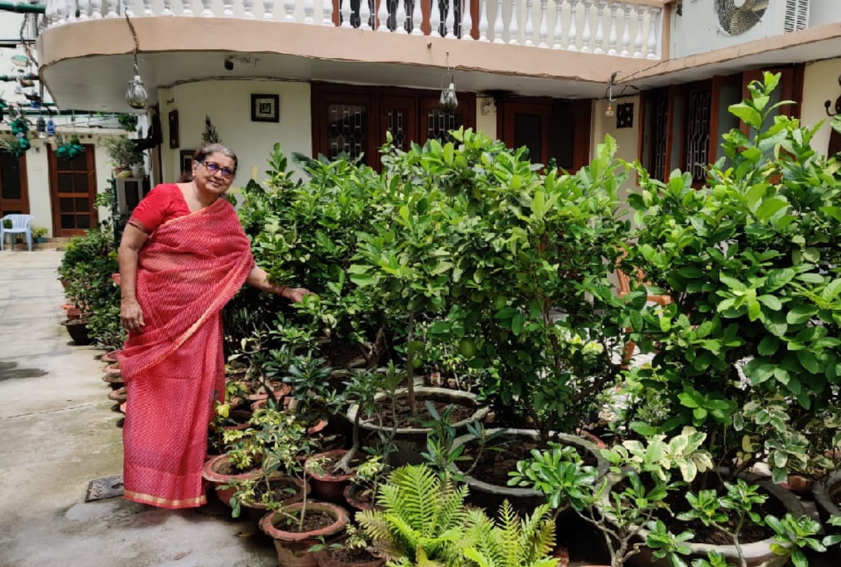 famous doctor Dr. Madhu Gulati maked plants on stone in gorakhpur