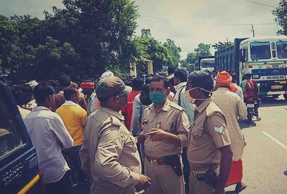 Madhya Pradesh: Herd of wild elephant created panic, crushed and killed three people