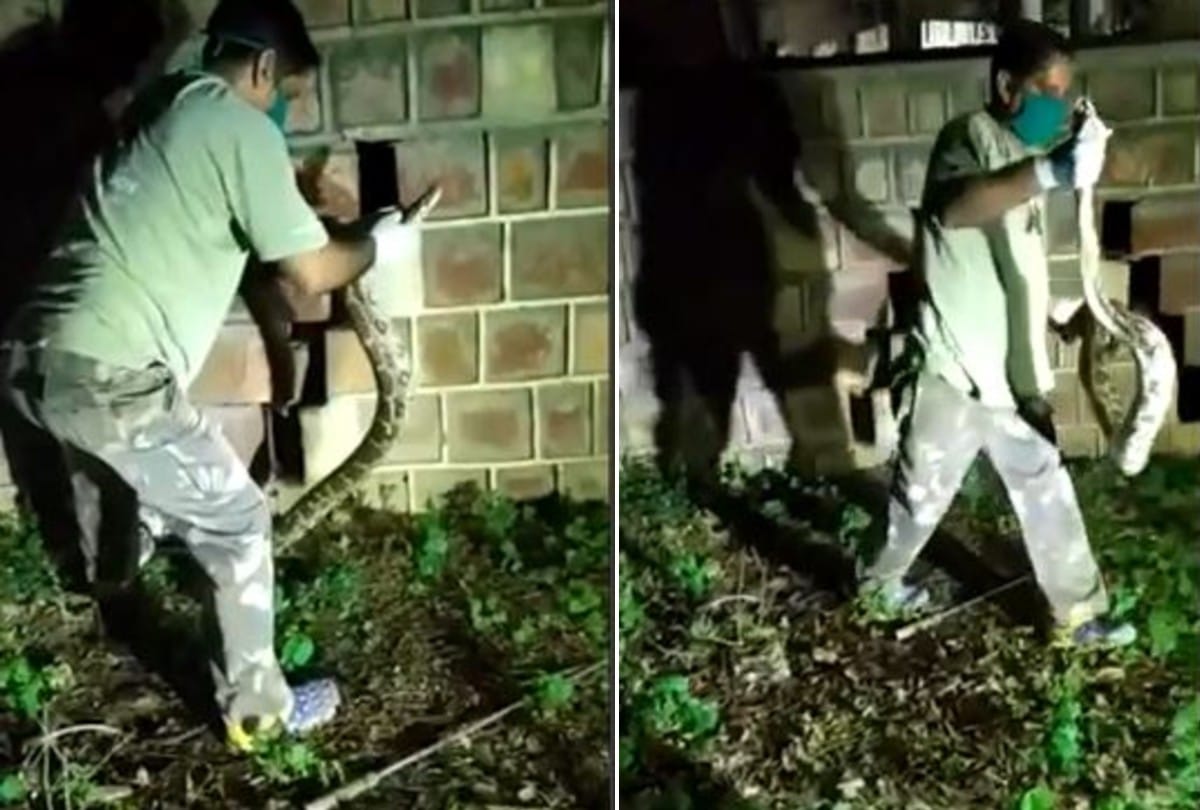 Agra News: Eight feet tall python reached the playing ground of the Kendriya Hindi Sansthan agra