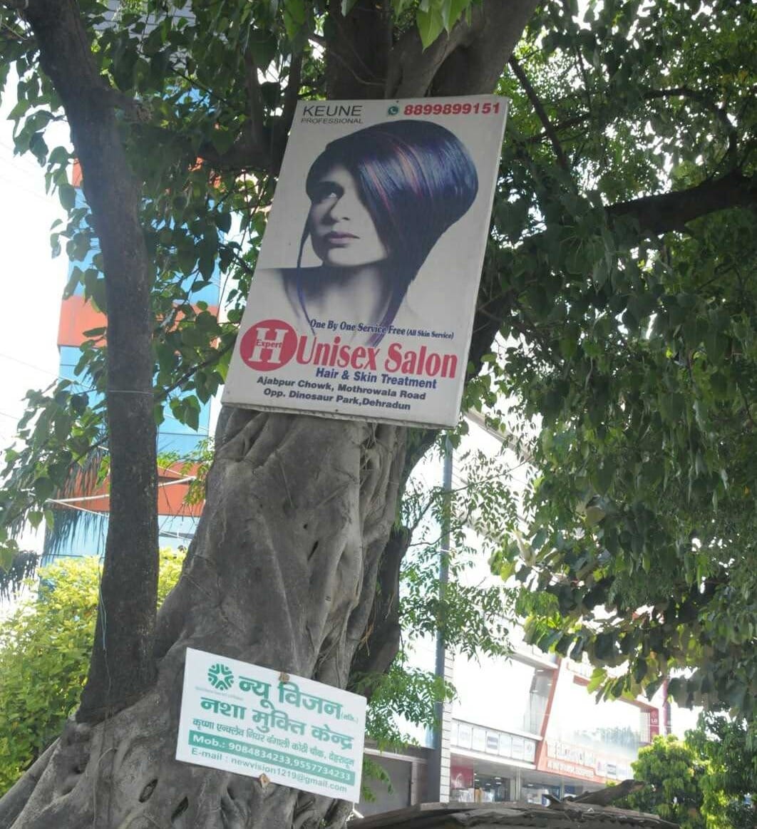 tree ko karo free: Life of trees choking in dehradun city