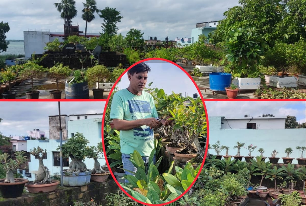 story of success Sanjay Kumar promising person by making hobbies a source of income