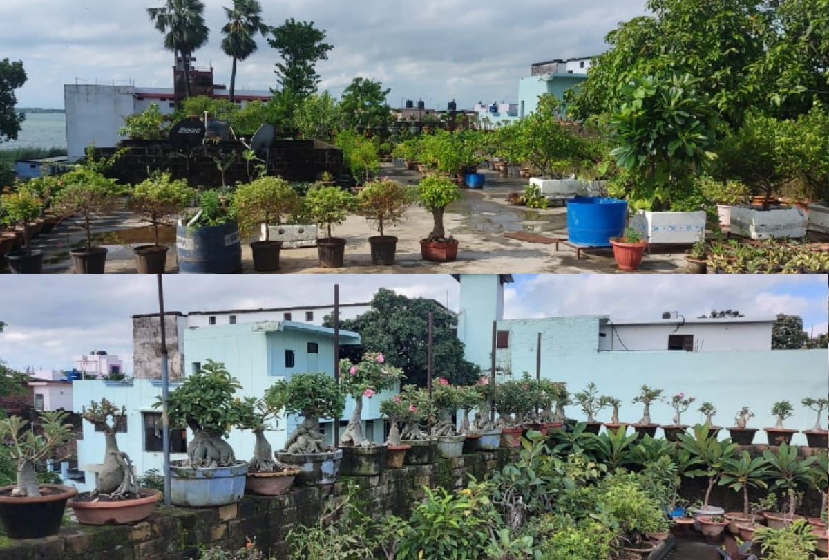 story of success Sanjay Kumar promising person by making hobbies a source of income