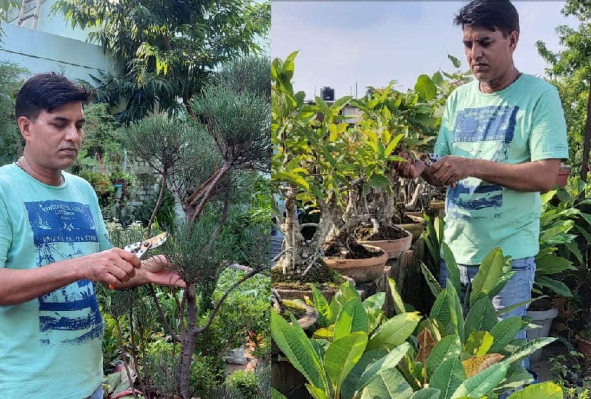 story of success Sanjay Kumar promising person by making hobbies a source of income