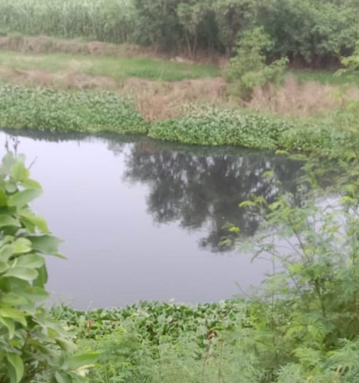 A temporary bridge will be built on Hindon in Jhundpur, five villages will get relief