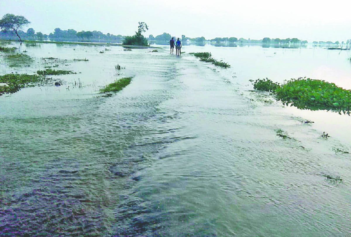 Gorakhpur Flood News: Rohin river breaks three years Flood record in gorakhpur