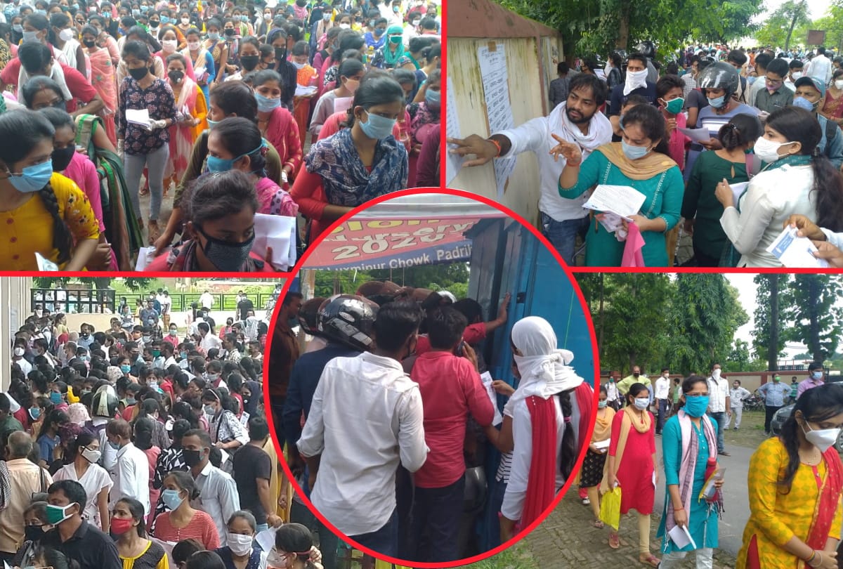 BEd Joint Entrance Examination 2020 starts in gorakhpur latest update