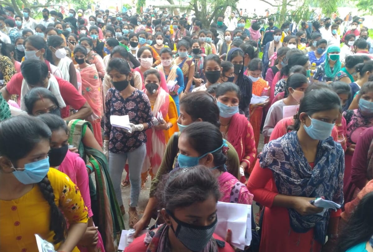 BEd Joint Entrance Examination 2020 starts in gorakhpur latest update