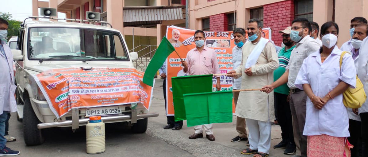 Now milk production will increase in the country: Balyan