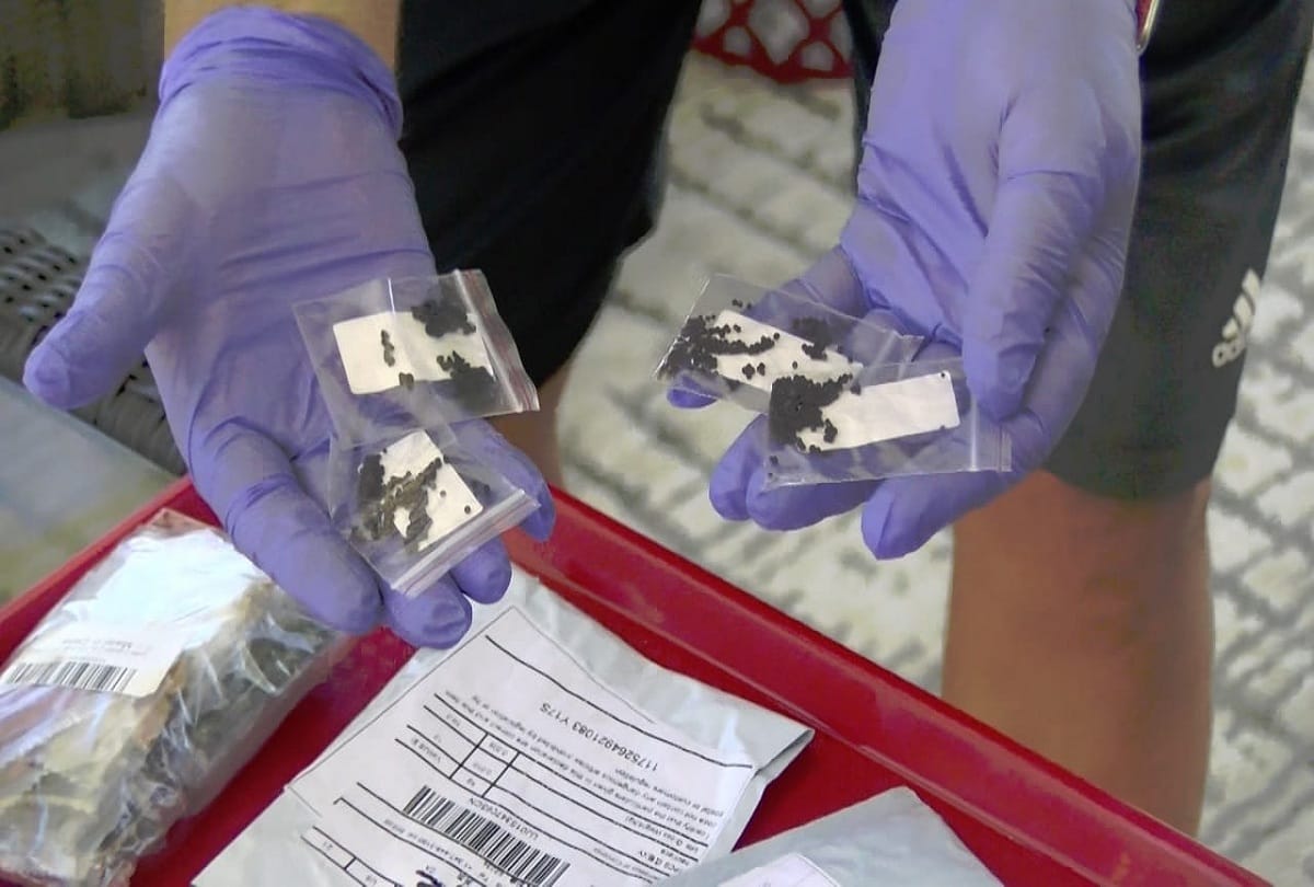 Center warns states and industry about suspected seed parcels
