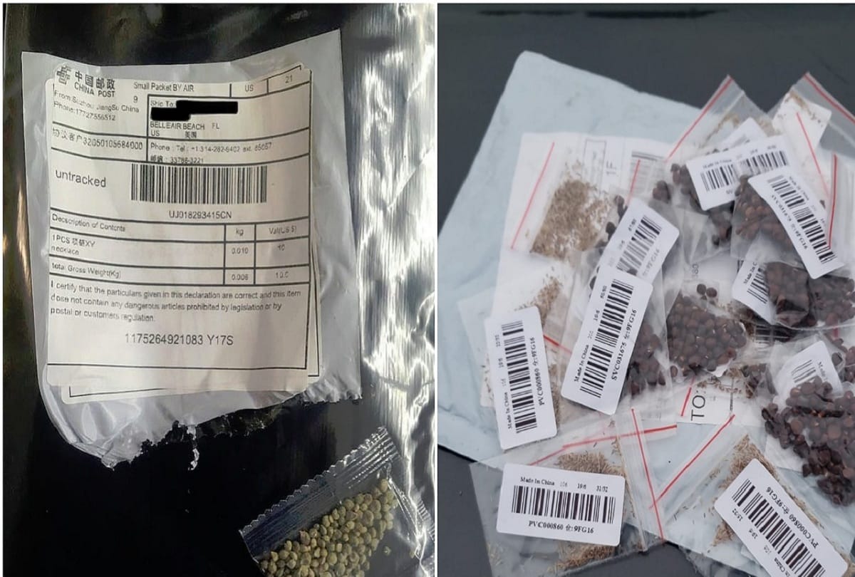 Center warns states and industry about suspected seed parcels