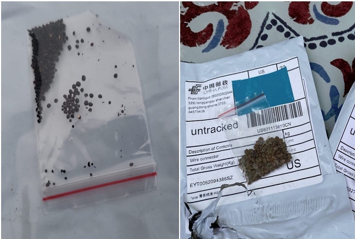 Center warns states and industry about suspected seed parcels