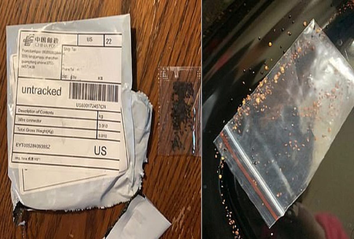 Center warns states and industry about suspected seed parcels