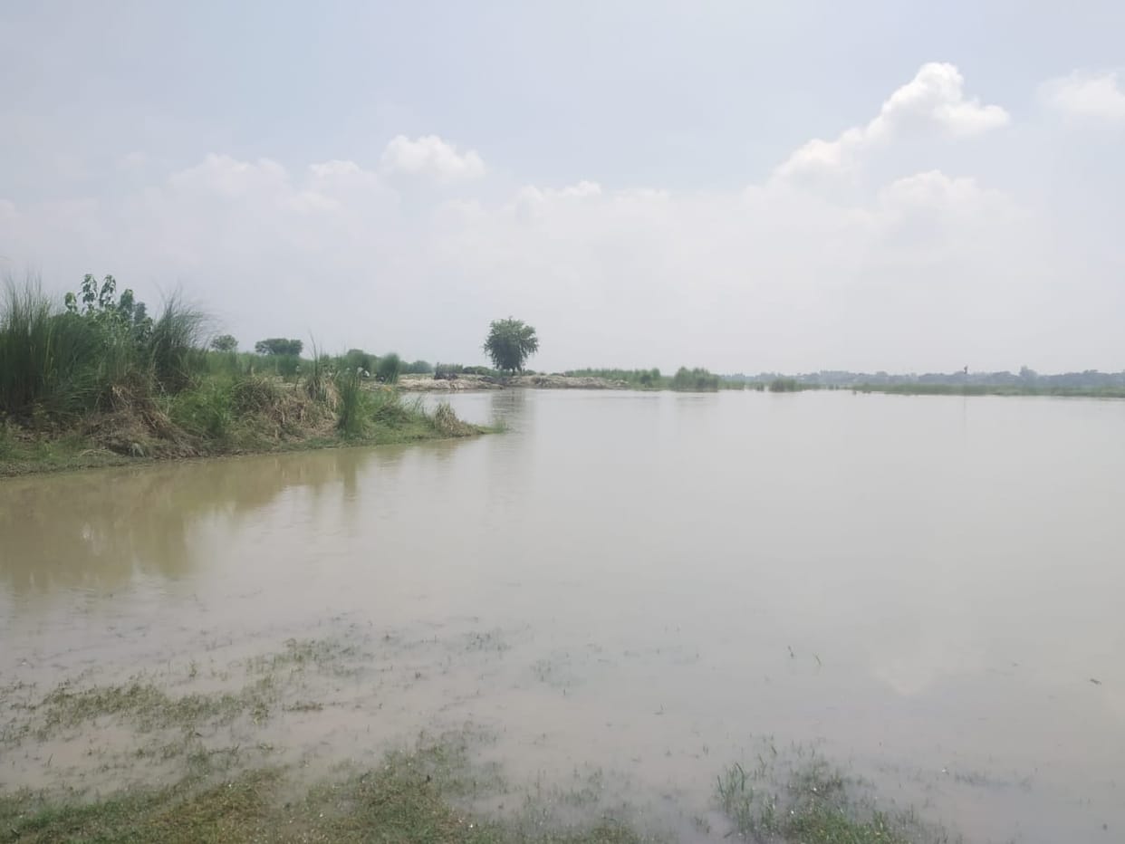 Ganga's water level rises, flooding threatens
