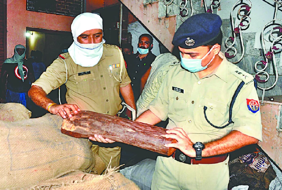 Sandalwood illegal business was running under the garb of readymade garments in moradabad