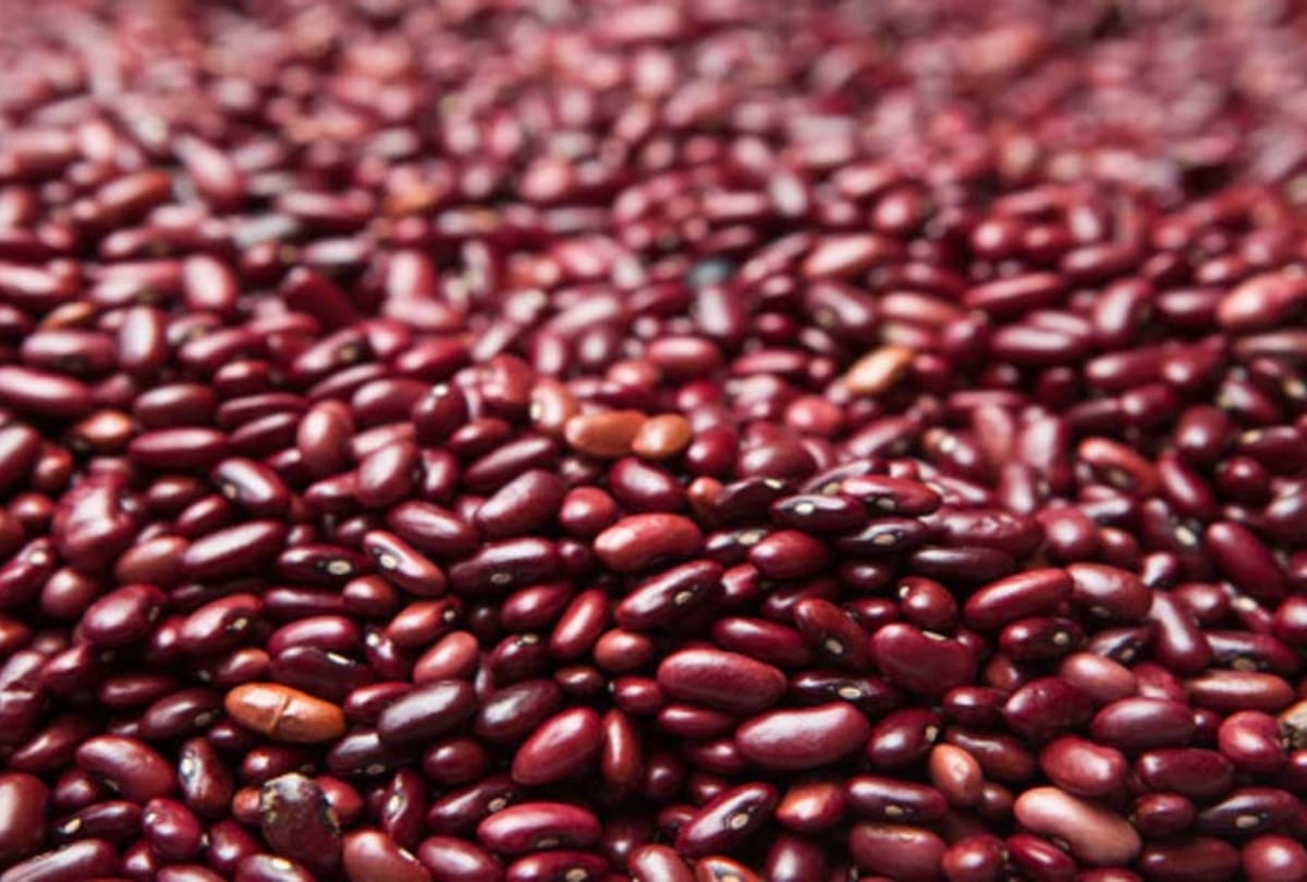 avoid these vegetables in raw form food items you should not eat raw