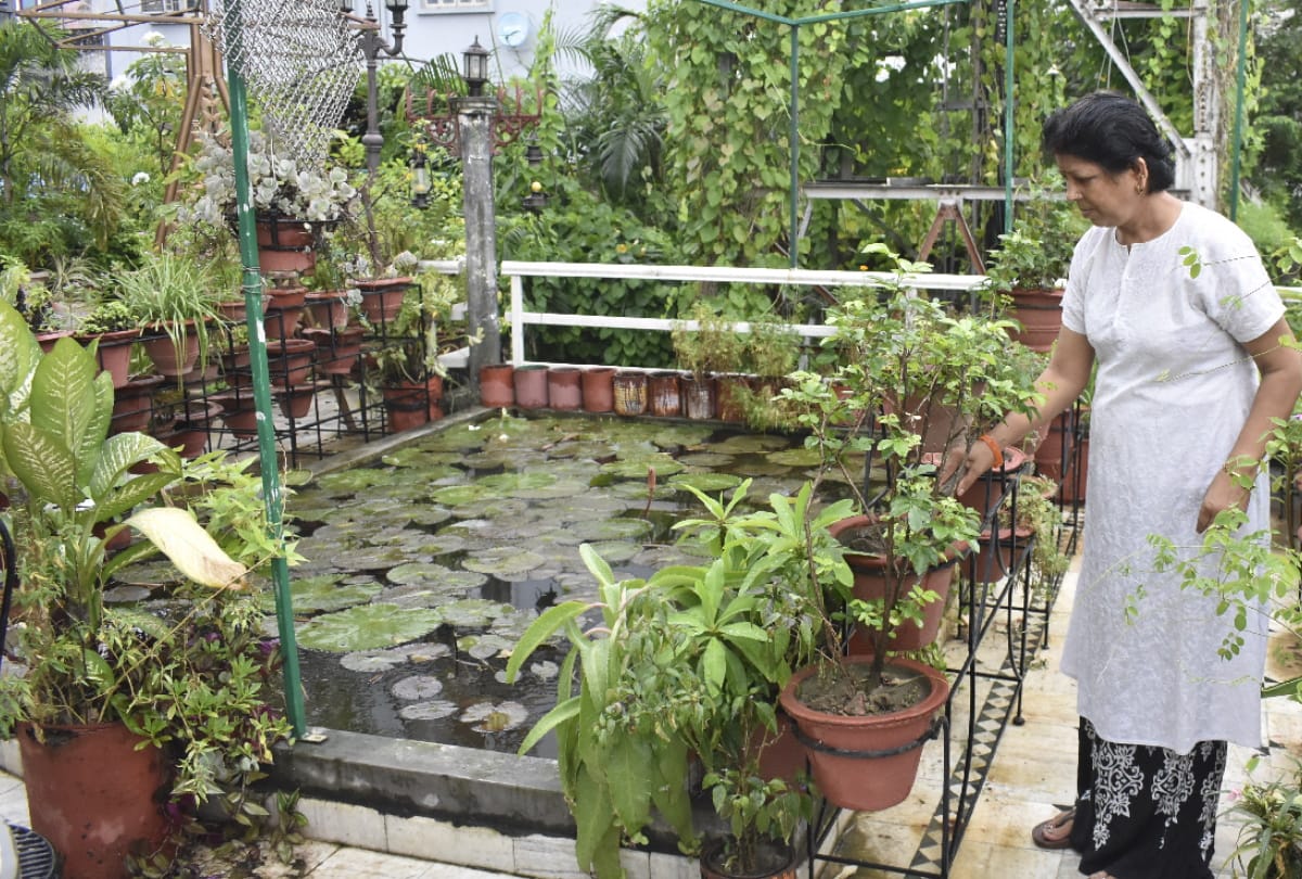 Husband made sacrifice to fulfill wife childhood planting saplings hobbies