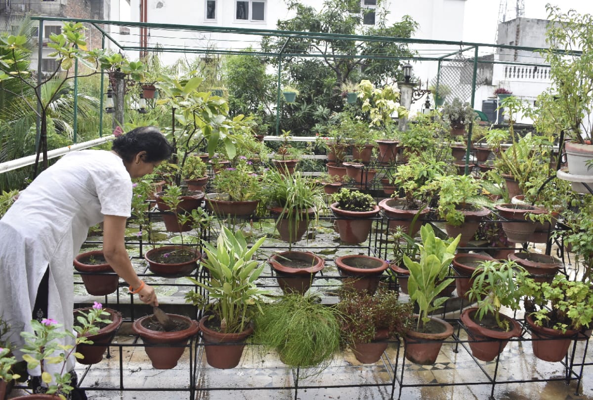 Husband made sacrifice to fulfill wife childhood planting saplings hobbies