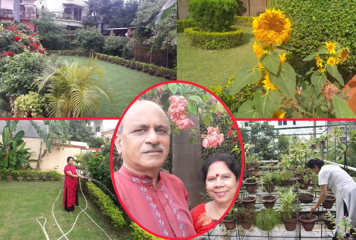 Husband made sacrifice to fulfill wife childhood planting saplings hobbies