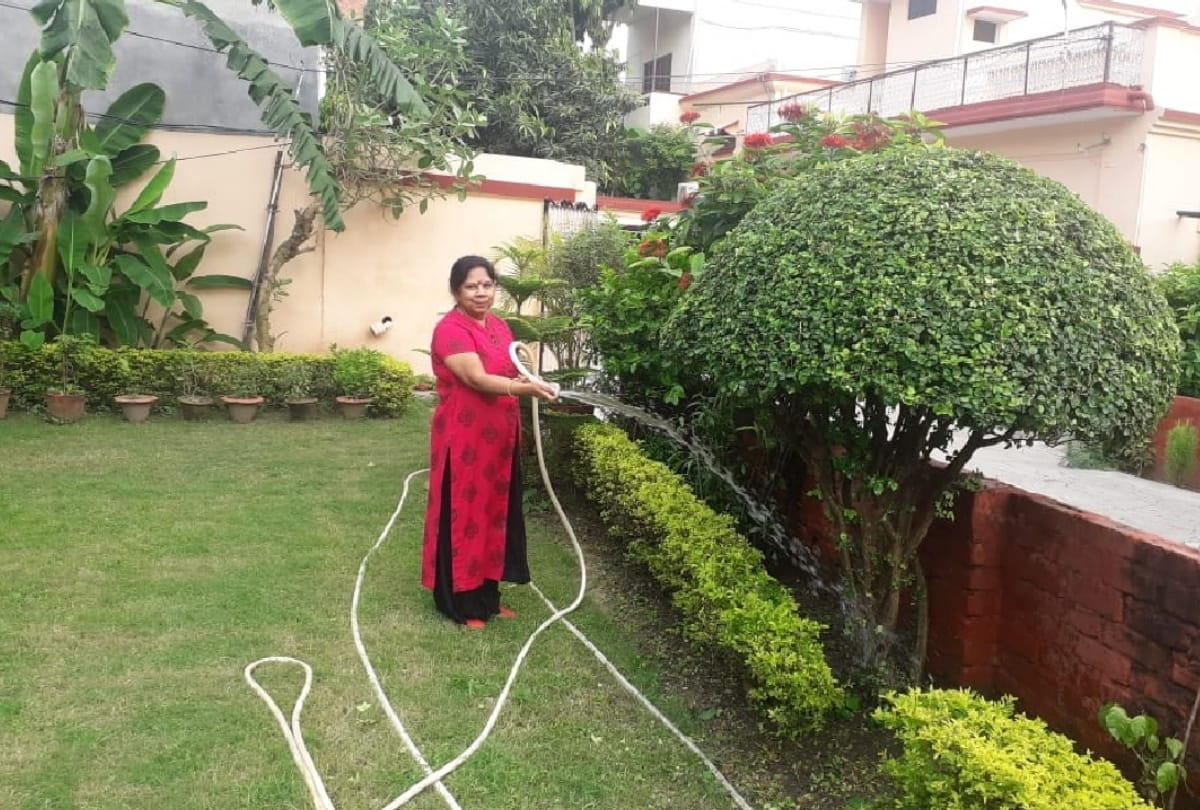 Husband made sacrifice to fulfill wife childhood planting saplings hobbies