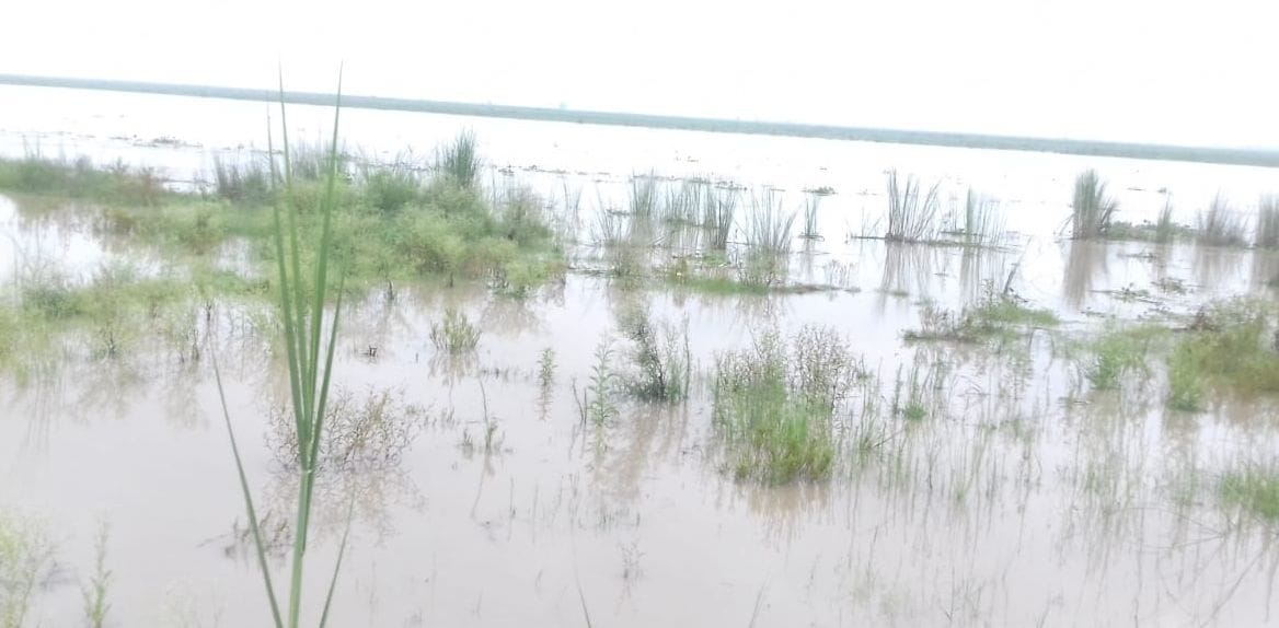 the water discharge at haridwar 1.34 lekh qusek water,  no conditiopn for worried