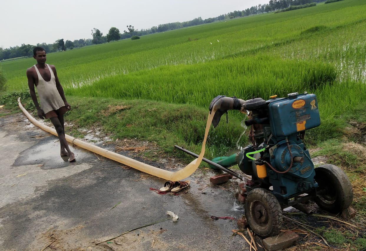Maize and paddy crops started drying up due to strong sunlight