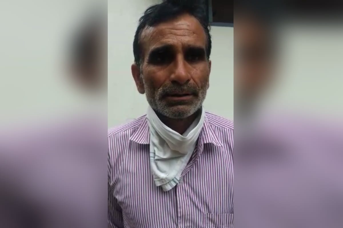 UP News: Six animals died after consuming poisonous fodder in a village in Bijnor