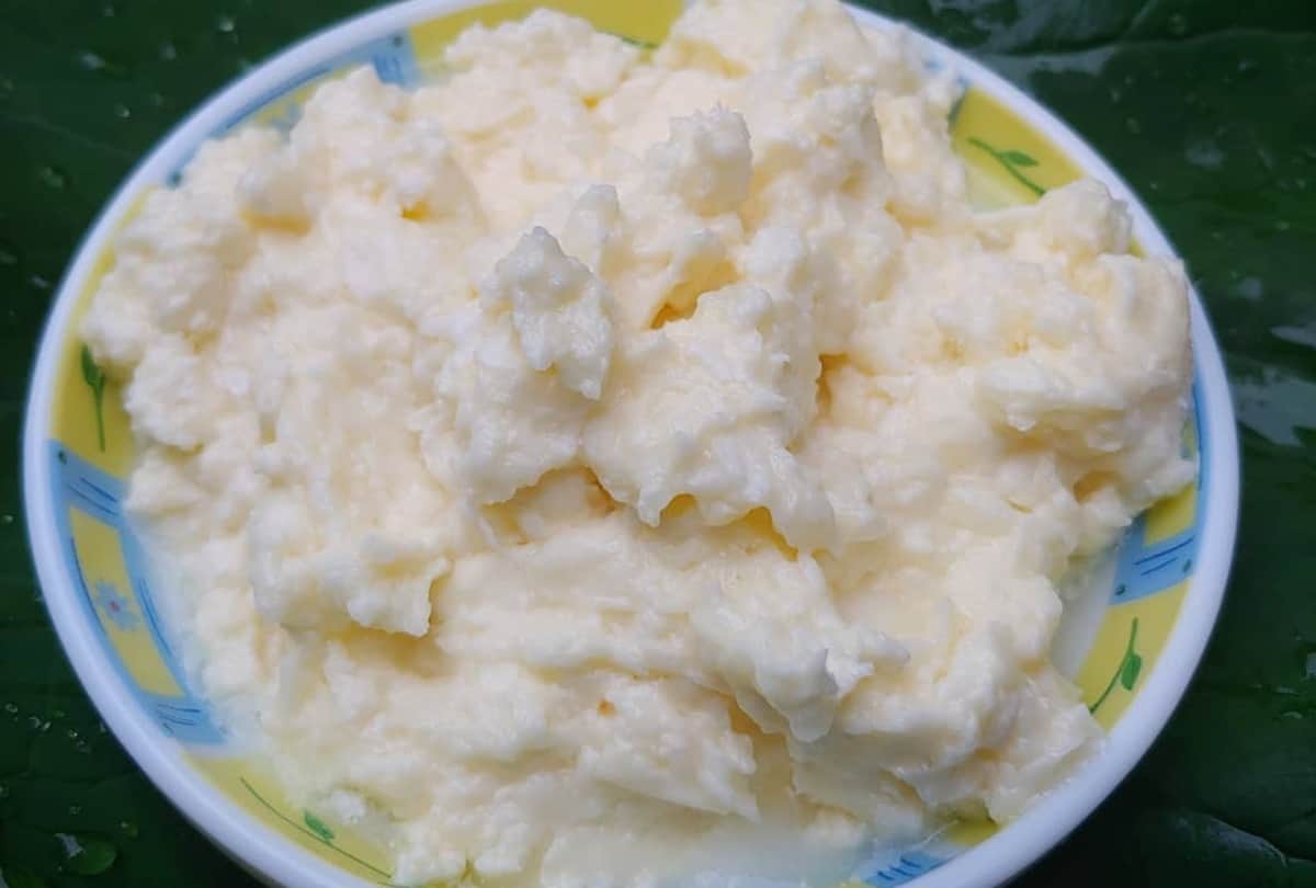 Krishna Janmashtami 2020 White Butter Recipe: Janmashtami Bhog Recipe How To Make White Butter At Home Makhani Recipe In Hindi