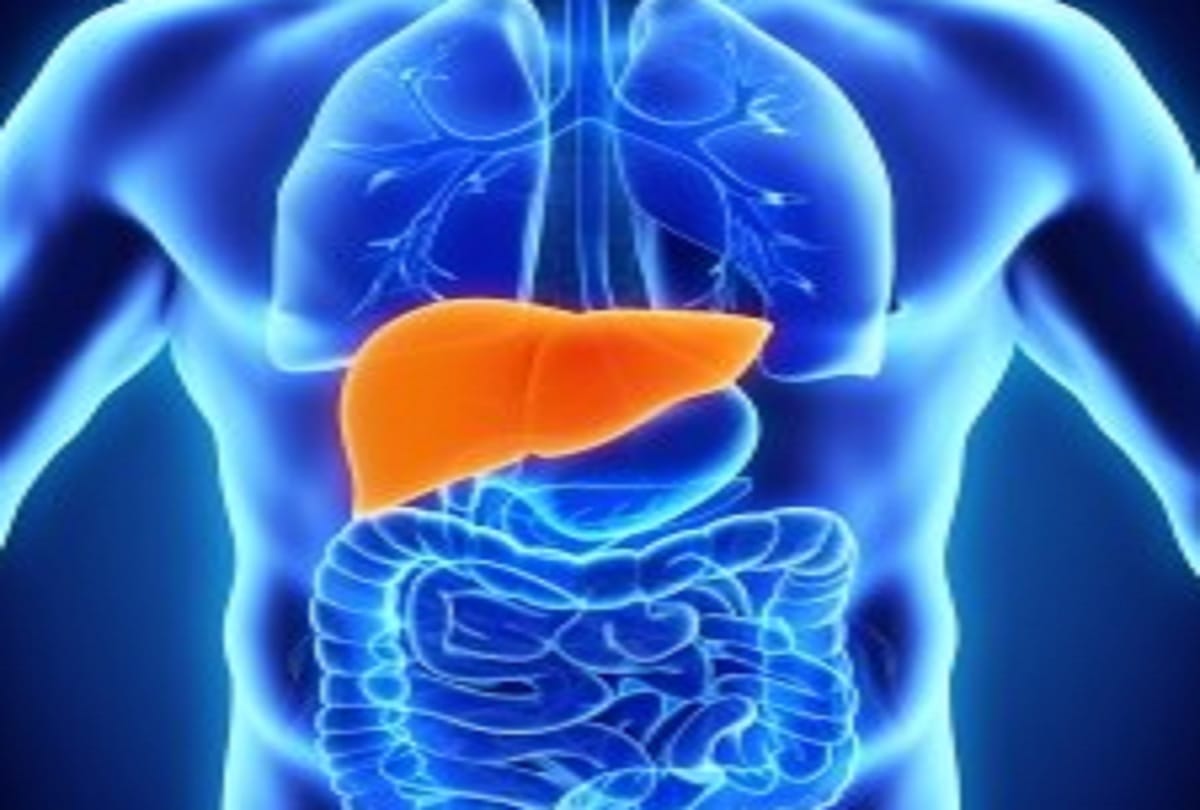 healthy liver diet plan avoid those things in liver problems fatty liver disease treatment diet