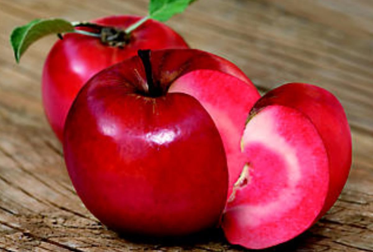 Himachal News: Redlove apple grown in shimla sold at 420 rupee per kilogram