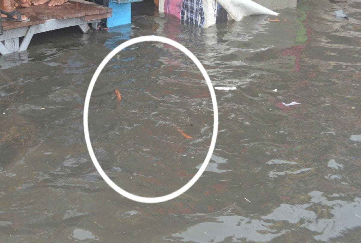 waterlogging on the roads after heavy rain in agra
