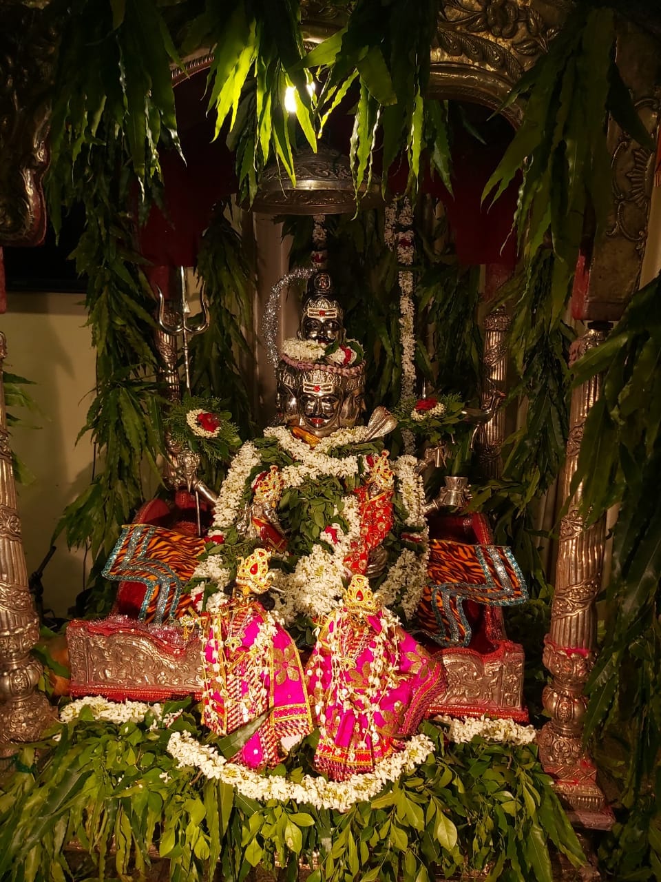 Janmashtami 2020: Baba Vishwanath on swing with Shri Krishna