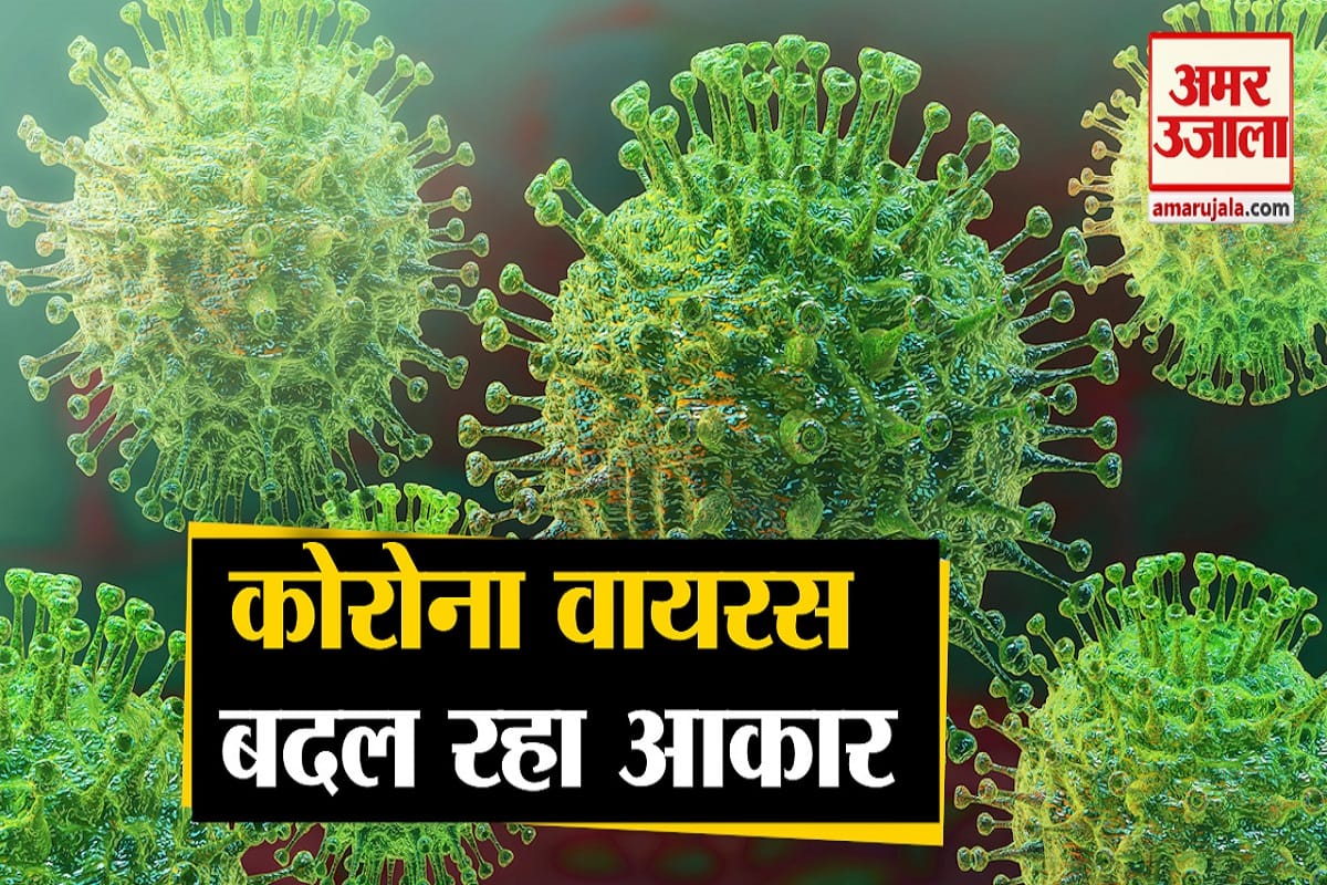 कोरोना वायरस