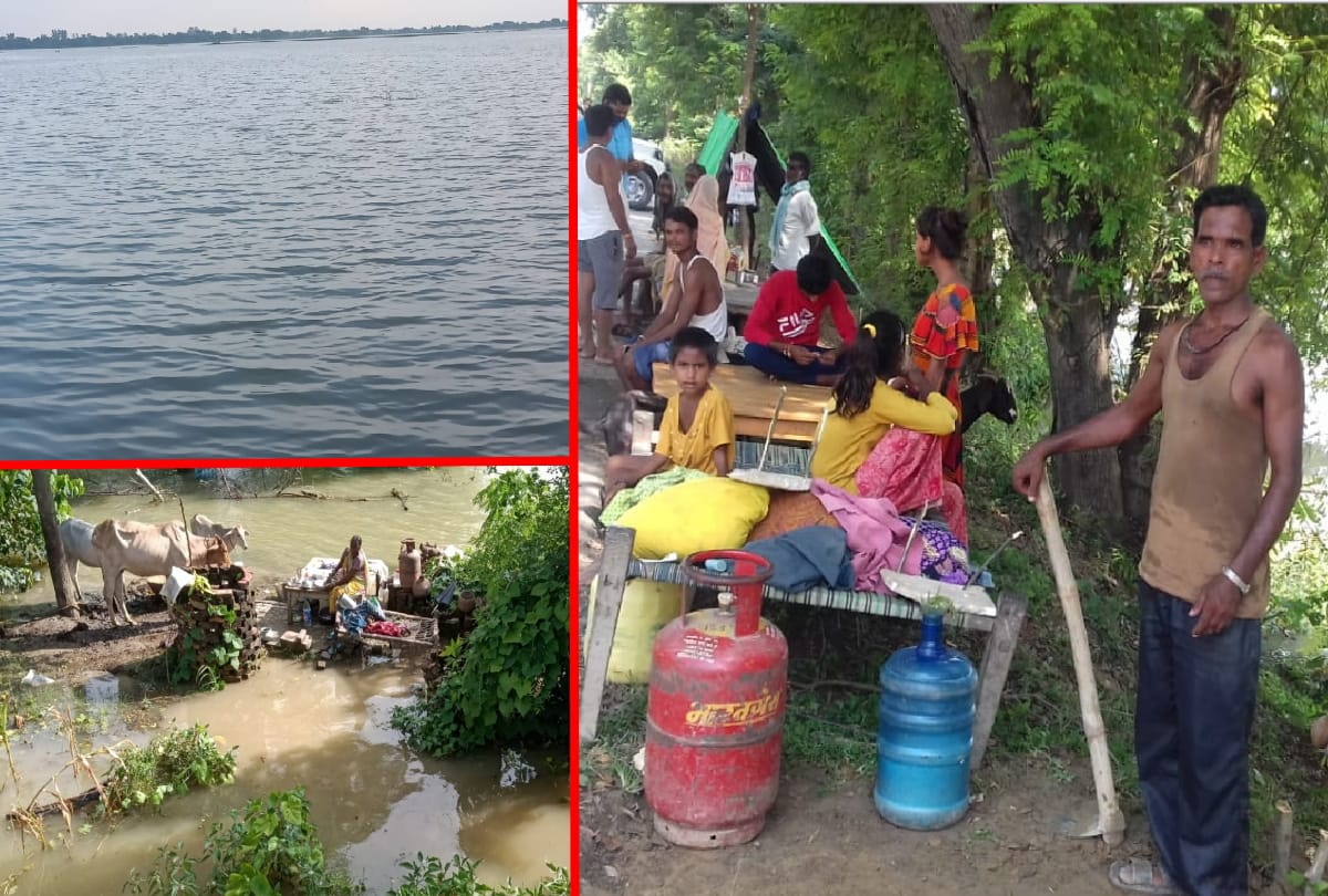 314 km road and 17 thousand hectare crop wasted due to floods in Gorakhpur
