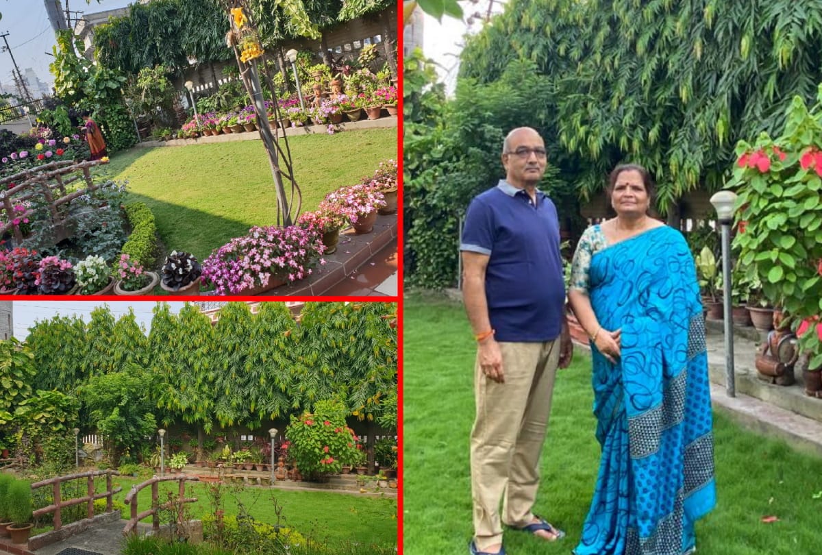wife of international wrestler Dinesh Singh prepare Beautiful garden at residence