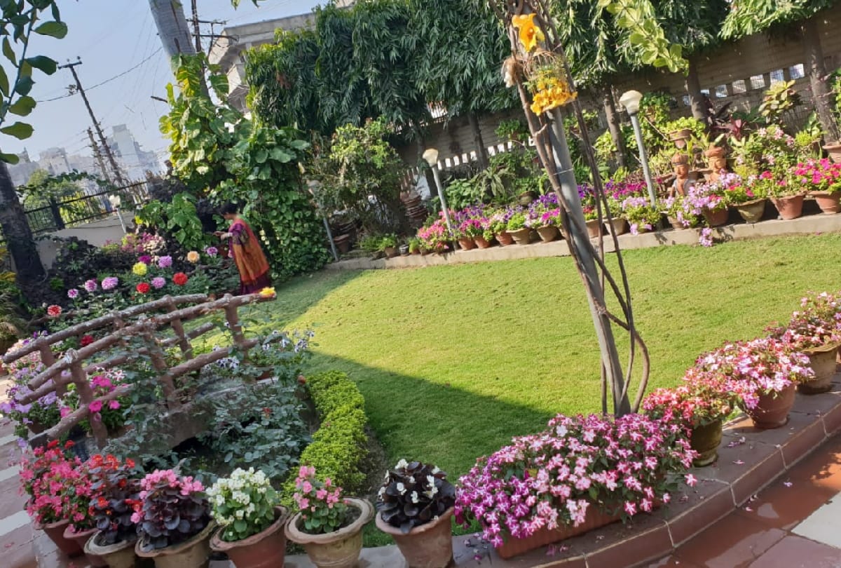 wife of international wrestler Dinesh Singh prepare Beautiful garden at residence