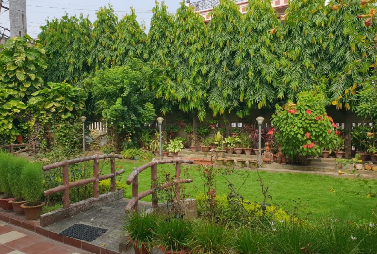 wife of international wrestler Dinesh Singh prepare Beautiful garden at residence