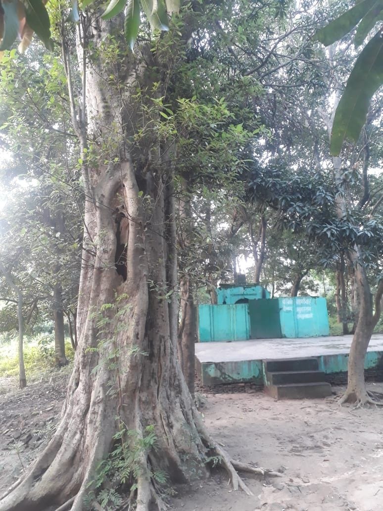 Sulliwala Bagh of Muzaffarnagar